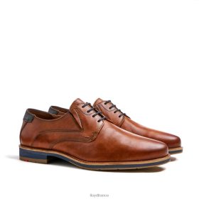 LLOYD kazan (extra-large) T8LXD110 - LLOYD France brun hommes chaussures