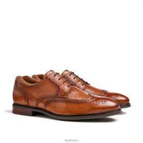 LLOYD mariale T8LXD141 - LLOYD Chaussures brun hommes chaussures